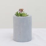 Factory direct selling Hedgehog House resin succulent flower pot creative micro landscape hydroponic flower pot desktop pot wholesale - Image 2