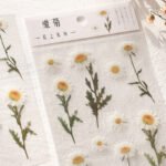 Mr. Paper PET Flat Sheet Flower Series 6 Small Fresh Pocket Books Decorative Ink Word Material DIY Stickers - Image 4