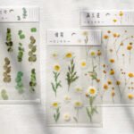 Mr. Paper PET Flat Sheet Flower Series 6 Small Fresh Pocket Books Decorative Ink Word Material DIY Stickers