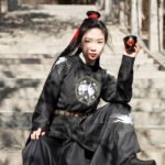 Tang Dynasty Hanfu waist length flying fish suit