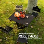 Portable picnic table