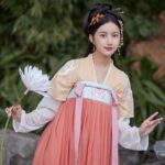 Tang style Han style embroidered double breasted skirt - Image 4