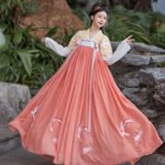 Tang style Han style embroidered double breasted skirt - Image 3