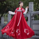 Tang style Han style embroidered double breasted skirt