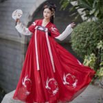 Tang style Han style embroidered double breasted skirt - Image 2