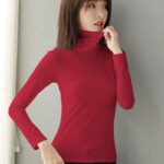 Cotton pile pile collar undershirt on behalf of autumn and winter slim inner with high neck long sleeve t-shirt versatile top women's wholesale - Image 3