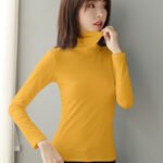 Cotton pile pile collar undershirt on behalf of autumn and winter slim inner with high neck long sleeve t-shirt versatile top women's wholesale - Image 2