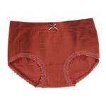 Ginger silkworm oxygen pants live burst boxed ginger panties mid-waist cotton lace trim plus size seamless ladies briefs - Image 5