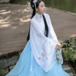 Ming Dynasty Han style clothes stand collar waist length Ru skirt