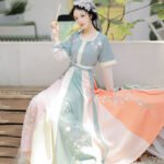 Tang style Han style embroidered straight collar half arm waist length skirt