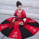 Tang made Han suit round neck long skirt - Image 2