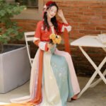 Tang style Han style embroidered straight collar half arm waist length skirt - Image 2