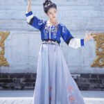 Tang made Han suit round neck long skirt - Image 4