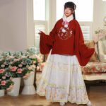 Ming Dynasty Han style round neck patchwork printed horseface skirt - Image 3