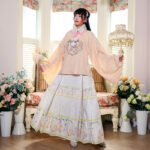 Ming Dynasty Han style round neck patchwork printed horseface skirt - Image 2