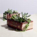 Nanyuan Chuanfang European retro literature book creative resin flowerpot succulent bonsai collocation factory wholesale