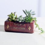 Nanyuan Chuanfang European retro literature book creative resin flowerpot succulent bonsai collocation factory wholesale - Image 2