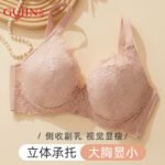 Gujin (GUJIN) Underwear Women's Big Breast Show Small Gathered Cotton Comfortable Back Sexy Lace Bra Large Size Bra - Image 9