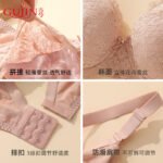 Gujin (GUJIN) Underwear Women's Big Breast Show Small Gathered Cotton Comfortable Back Sexy Lace Bra Large Size Bra - Image 4
