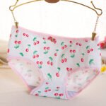New women's underwear cotton printing underwear female mid-waist students cute butt-lifting cartoon girl briefs wholesale - Image 7