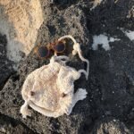 Japanese Xinsen women's retro small bag cotton and linen woven women's bag one-shoulder oblique span bucket bag tassel drawstring beach bag - Image 2