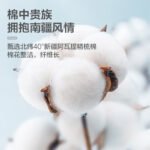 Made in Beijing [Xinjiang Cotton Series] Combed Cotton Ladies Underwear Women's Pure Cotton Antibacterial Crotch 4 Pack Combination One - Image 9