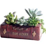 Nanyuan Chuanfang European retro literature book creative resin flowerpot succulent bonsai collocation factory wholesale - Image 5