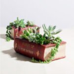 Nanyuan Chuanfang European retro literature book creative resin flowerpot succulent bonsai collocation factory wholesale - Image 4
