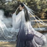 Traditional Hanfu Ancient Swordsman suit - Image 4