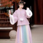 Ming Dynasty Hanfu warm suit - Image 4