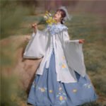 Ming Dynasty Hanfu Embroidery Long Shirt Cloud Shoulder Pleated Skirt