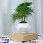 Living room home decoration net red creative handicrafts plant bonsai invention patent manufacturers wholesale maglev potted plants - Image 5