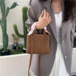 Heavy industry embroidery rhombic dayer's bag, high-quality crossbody bag, versatile fashion silk scarf, shoulder handbag, cross-border women's bag - Image 3