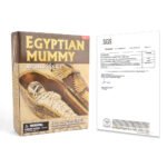 Iwow children's educational treasure toy set ancient egypt archaeology mummy diy hand excavation toys wholesale - Image 2