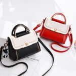 Internet celebrity bag women's bag 2025 new trendy fashion women's handbag summer popular one-shoulder crossbody bag - Image 3