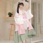 Ming Dynasty Han Suit Bijia Long Shirt waist length skirt - Image 2