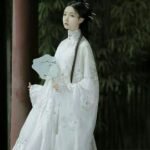 Ming Dynasty Han style gown waist length Ru skirt - Image 4