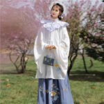 Ming Dynasty Hanfu Embroidery Long Shirt Cloud Shoulder Pleated Skirt - Image 2