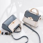Internet celebrity bag women's bag 2025 new trendy fashion women's handbag summer popular one-shoulder crossbody bag - Image 4