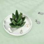 Aloe Vera Creative Ceramic Jewelry Storage Tray - Image 2