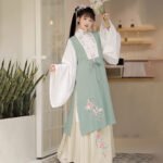 Ming Dynasty Han Suit Bijia Long Shirt waist length skirt - Image 3