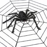 Spider web Halloween spider party decoration props spider web secret room tricky simulation plush spider wholesale - Image 3