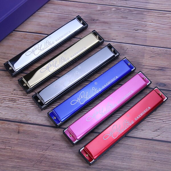 chelldee 24-hole polyphonic C-tune harmonica beginner student teacher adult self-learning harmonica entry instrument