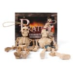 Iwow children's educational treasure toy set ancient egypt archaeology mummy diy hand excavation toys wholesale - Image 3