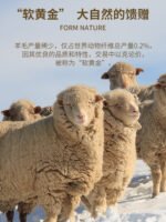 Simple modal wool men's sweater thickened knitted long sleeve warm wool sweater autumn and winter base shirt men - Image 3