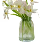 Mi Li Fengwu Nordic vase glass light luxury high-end high-end water-raising flower arrangement ins wind living room flower decoration - Image 5