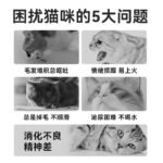 Laughing pet staple food, cat strips, cat food, cat meal kits, snacks, chicken breast, wet food, adult cats, kittens, universal one piece dropship - Image 4