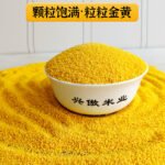 Inner Mongolia Chifeng Ao Han millet 5 pounds stand-up bag a type of millet golden seedling K1 yellow millet this autumn fragrance - Image 3