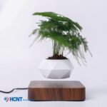 Living room home decoration net red creative handicrafts plant bonsai invention patent manufacturers wholesale maglev potted plants - Image 9
