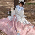 Ming Dynasty Hanfu Embroidery Long Shirt Cloud Shoulder Pleated Skirt - Image 3